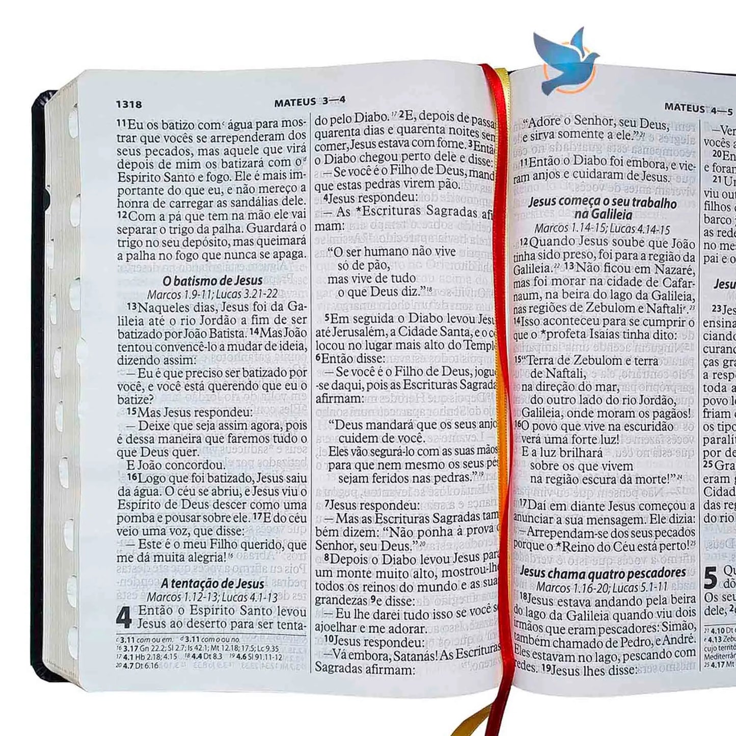 Bíblia Sagrada NTLH - Nova Tradução na Linguagem de Hoje | Capa Flexível