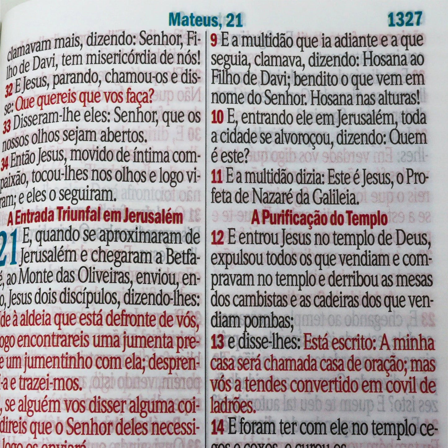 Bíblia Sagrada NAA – Capa Luxo Simples