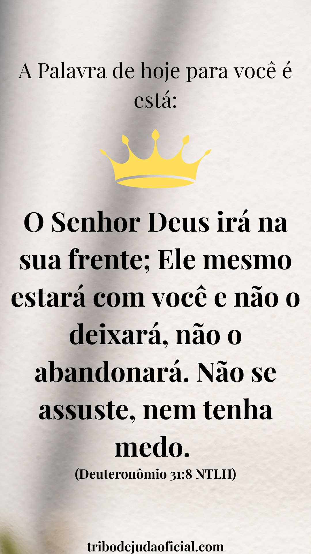 🕊️ Pacote Digital | 10 Frases Cristãs Motivacionais - Vol. 03