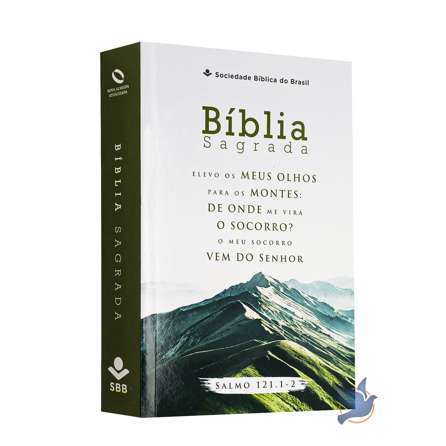 Bíblia Sagrada para Evangelização – NAA | Capa Brochura Ilustrada