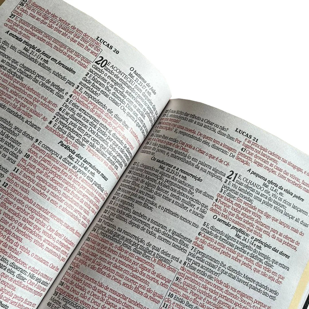 🦁 Bíblia Sagrada Leão Gold | Capa Dura com Harpa e Palavra de Jesus em Vermelho | ARC