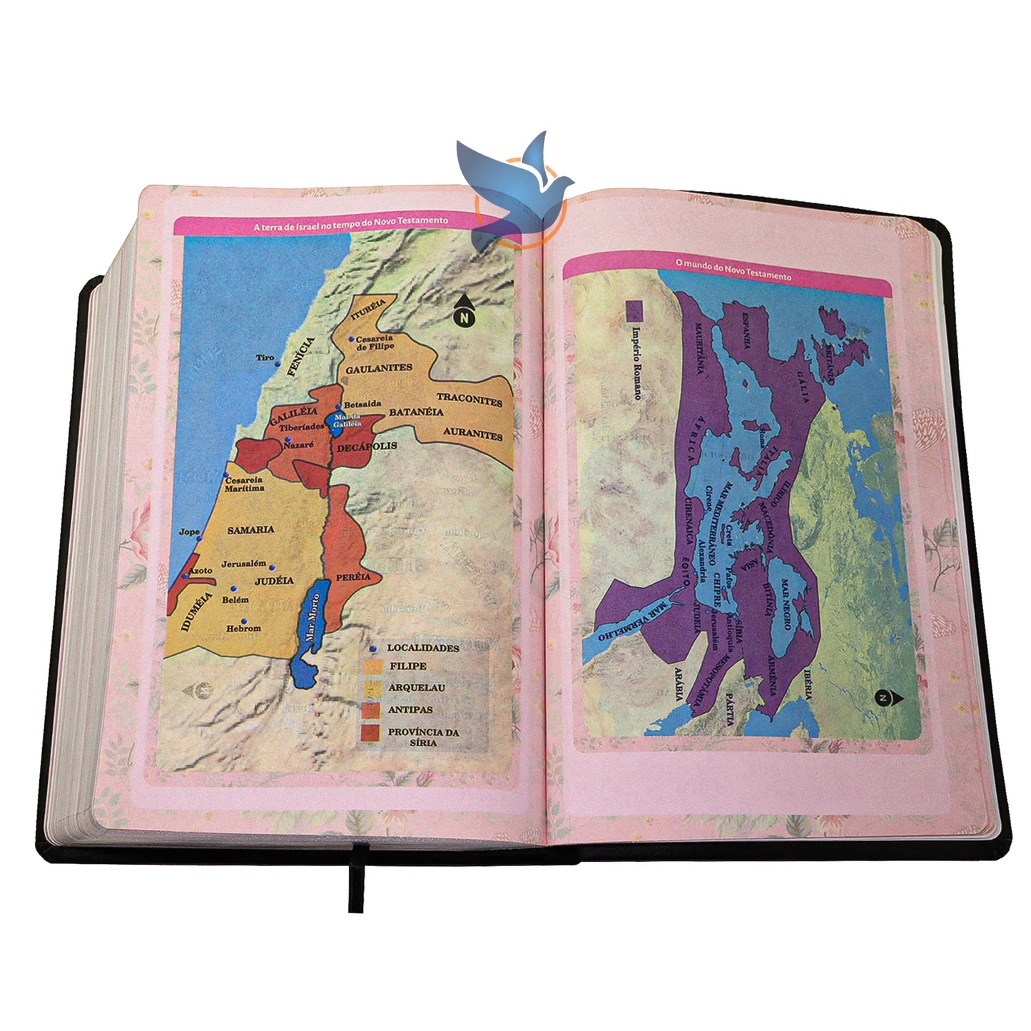 📖 Bíblia da Pregadora Fiel ARC – Capa Preta com Páginas Coloridas