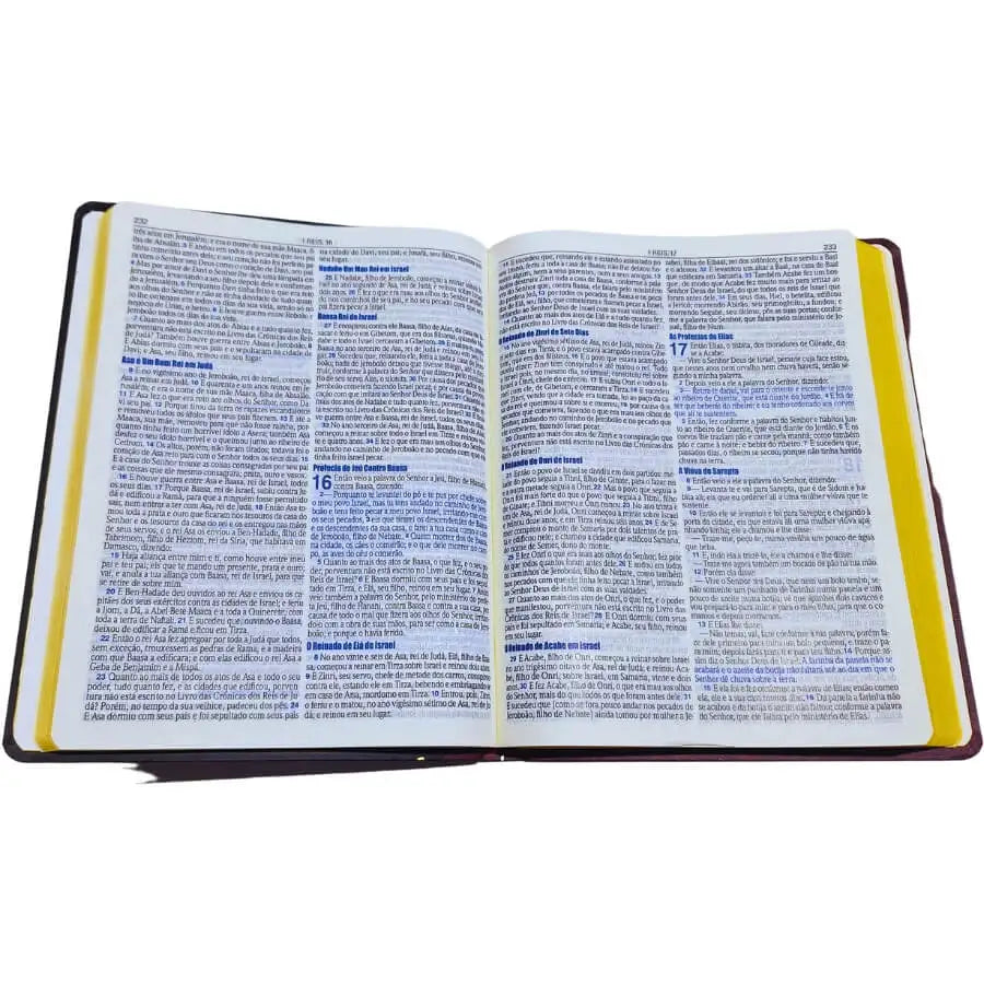 Bíblia Sagrada Slim Large Letra Grande ARC Com Harpa Avivada e Corinhos Bicolor Capa PU Vinho e Preto PDA PJV